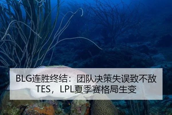 BLG连胜终结：团队决策失误致不敌TES，LPL夏季赛格局生变